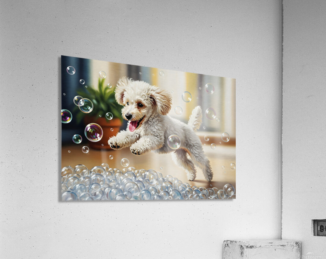 Poodle Puppy Discovers Bath Bubbles Acrylic Print