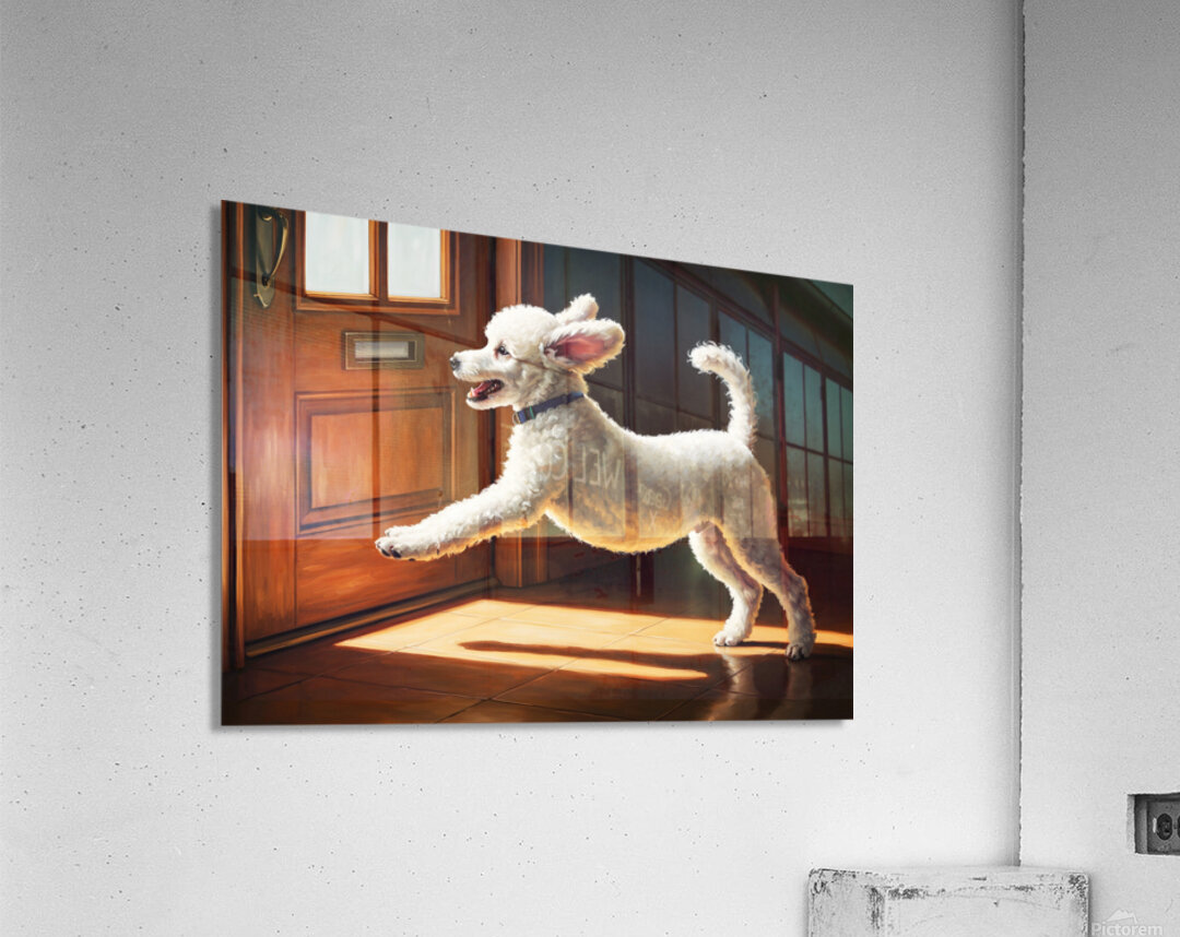 Happy Poodle Puppy Sits By Mail Slot Acrylic Print