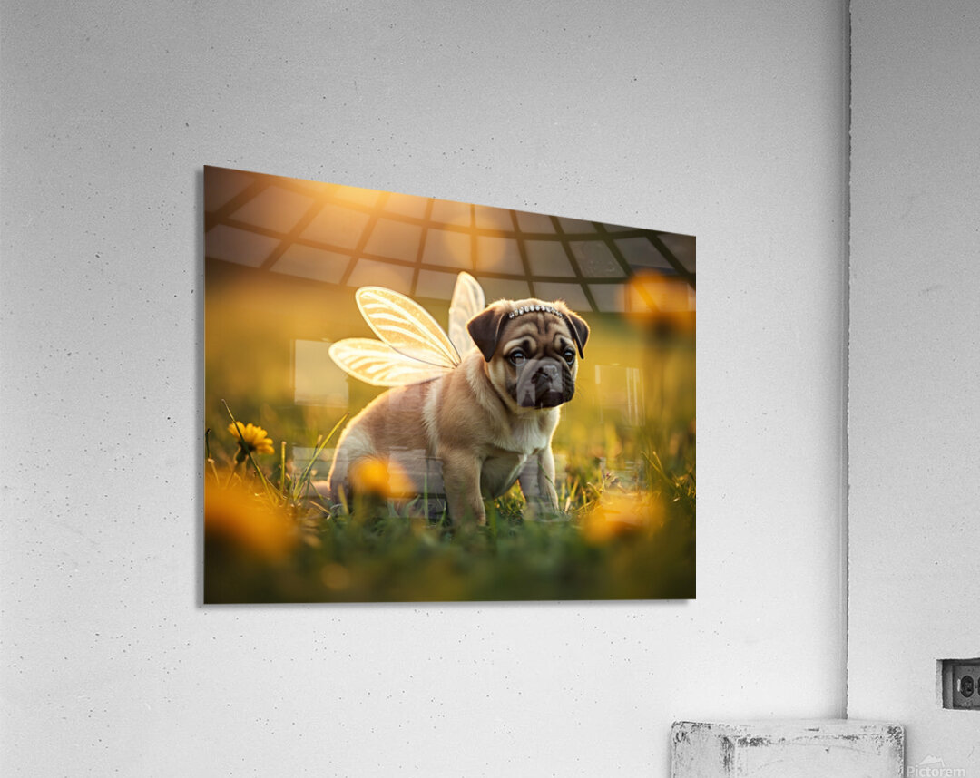 Pug Puppy Discovers Real Magic In Play Acrylic Print