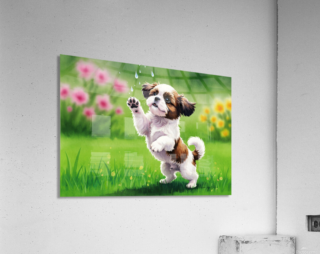 Shih Tzu Puppy Discovers Falling Raindrops In Garden Acrylic Print