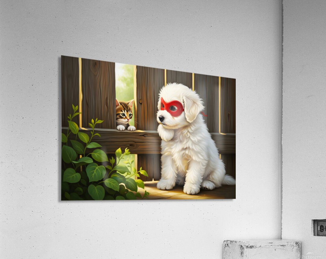 Heroic Bichon Frise Celebrates Successful Rescue Acrylic Print