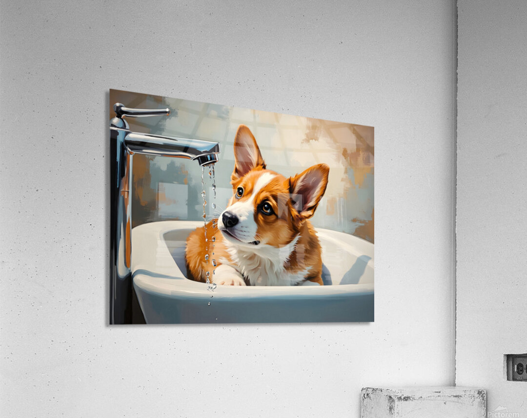 Nervous Corgi Puppy Waits In Bathroom Sink Acrylic Print