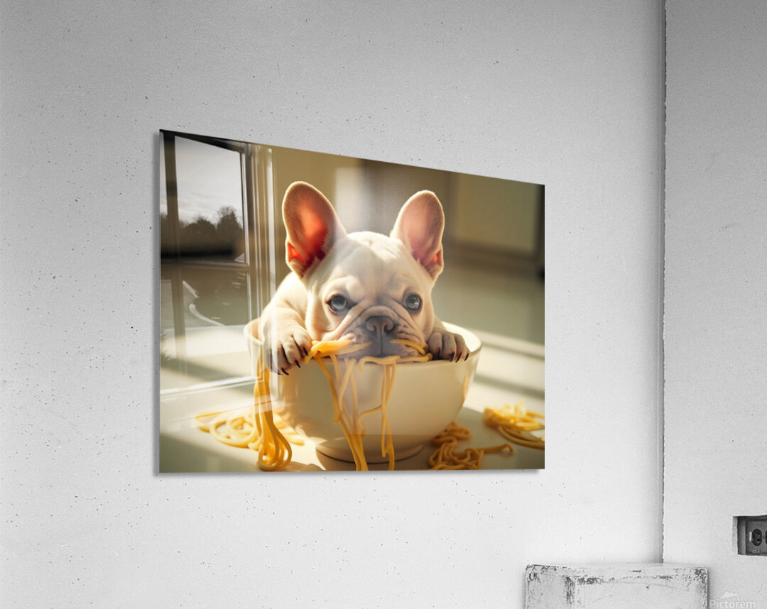 French Bulldog Puppy Discovers Spaghetti Bowl Acrylic Print