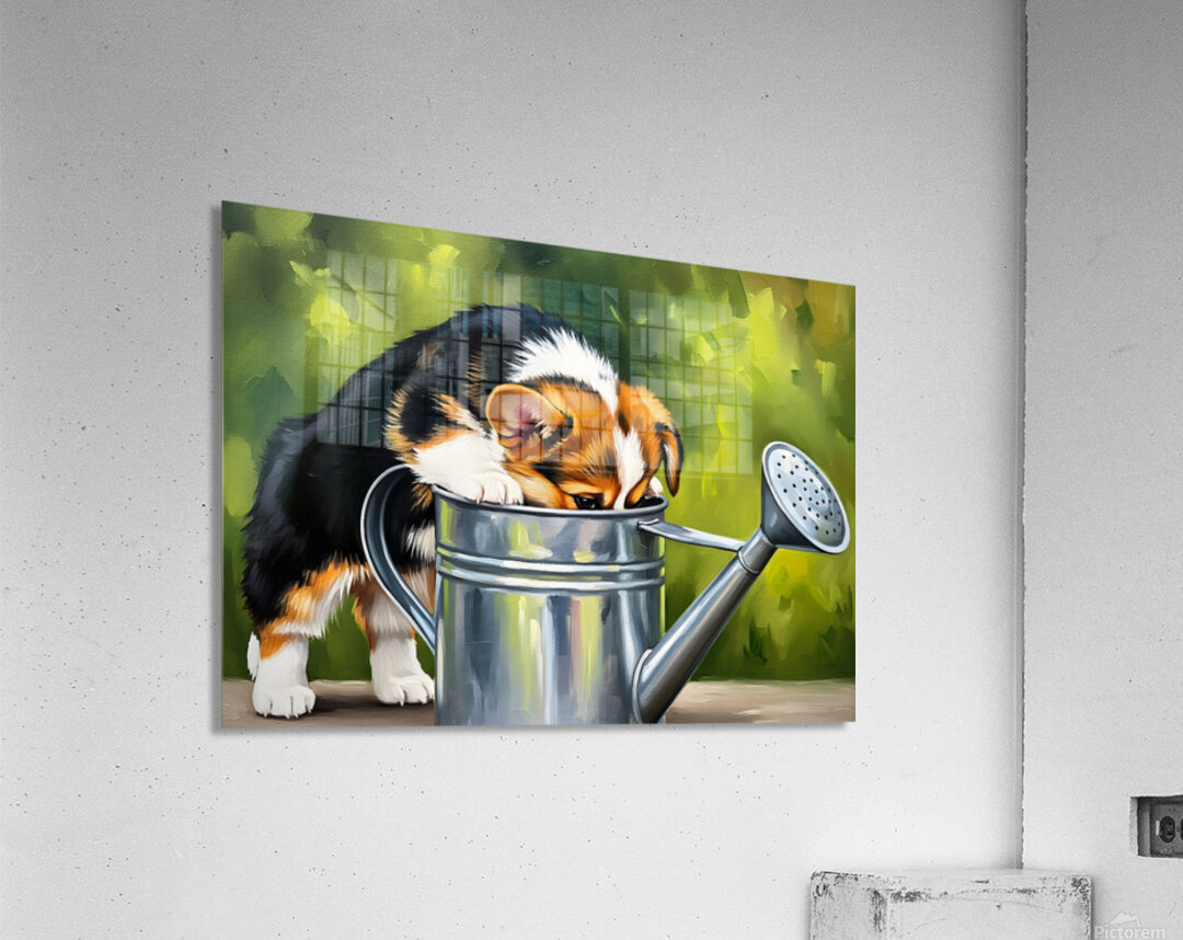 Wet Corgi Puppy Emerges From Watering Can Adventure Acrylic Print