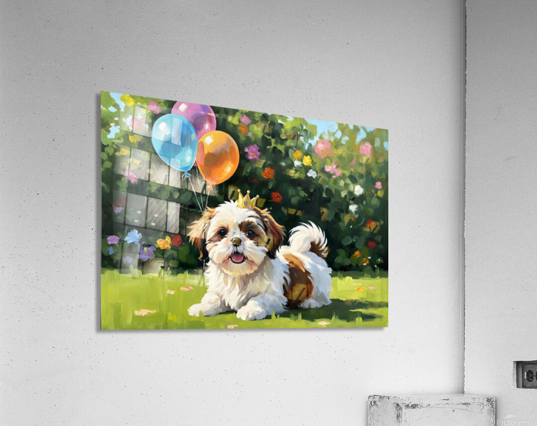 Shih Tzu Puppy Gets Ready For Birthday Party Acrylic Print