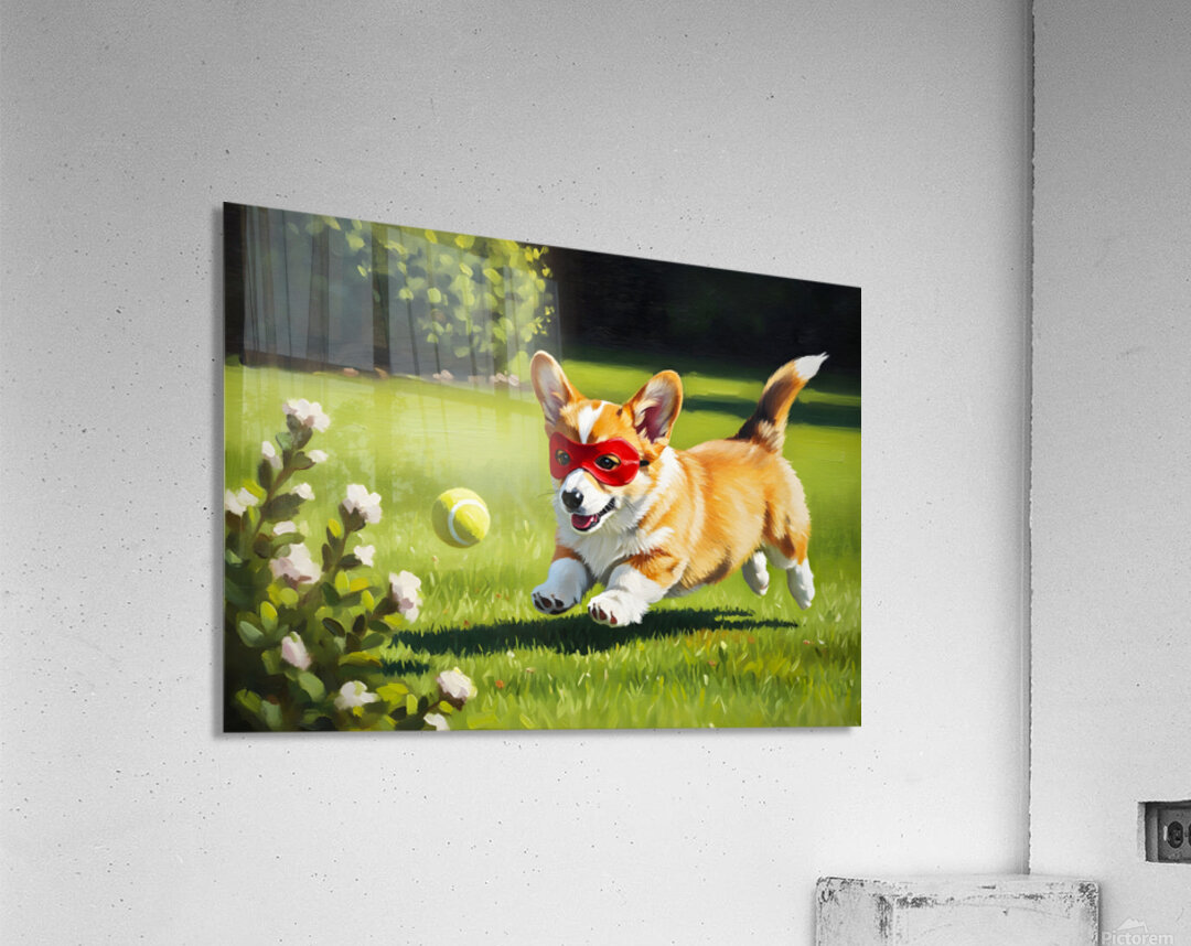 Sleepy Super Corgi Rests After Hero Adventures Acrylic Print