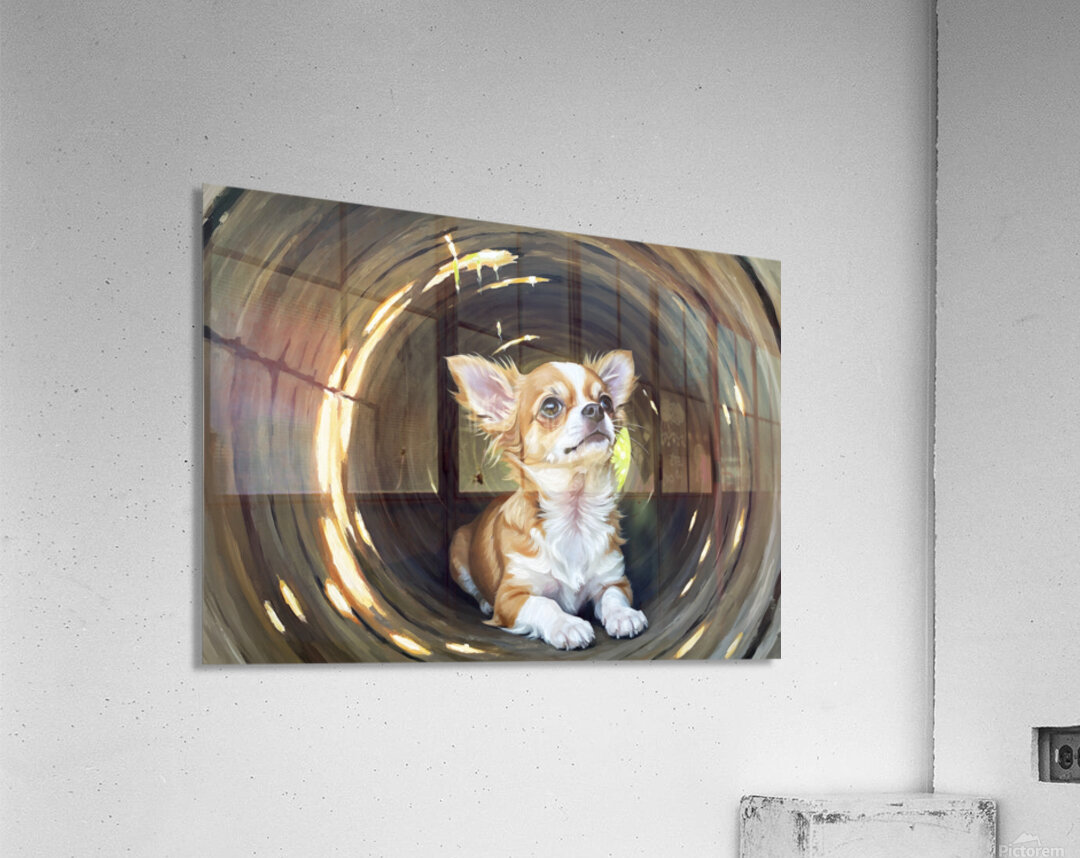 Happy Chihuahua Puppy Exits Log Adventure Acrylic Print