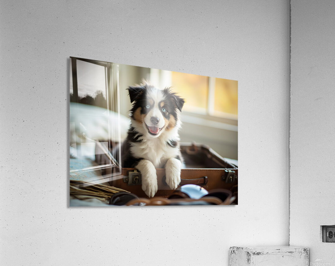 Content Puppy Settles Down For Suitcase Journey Acrylic Print