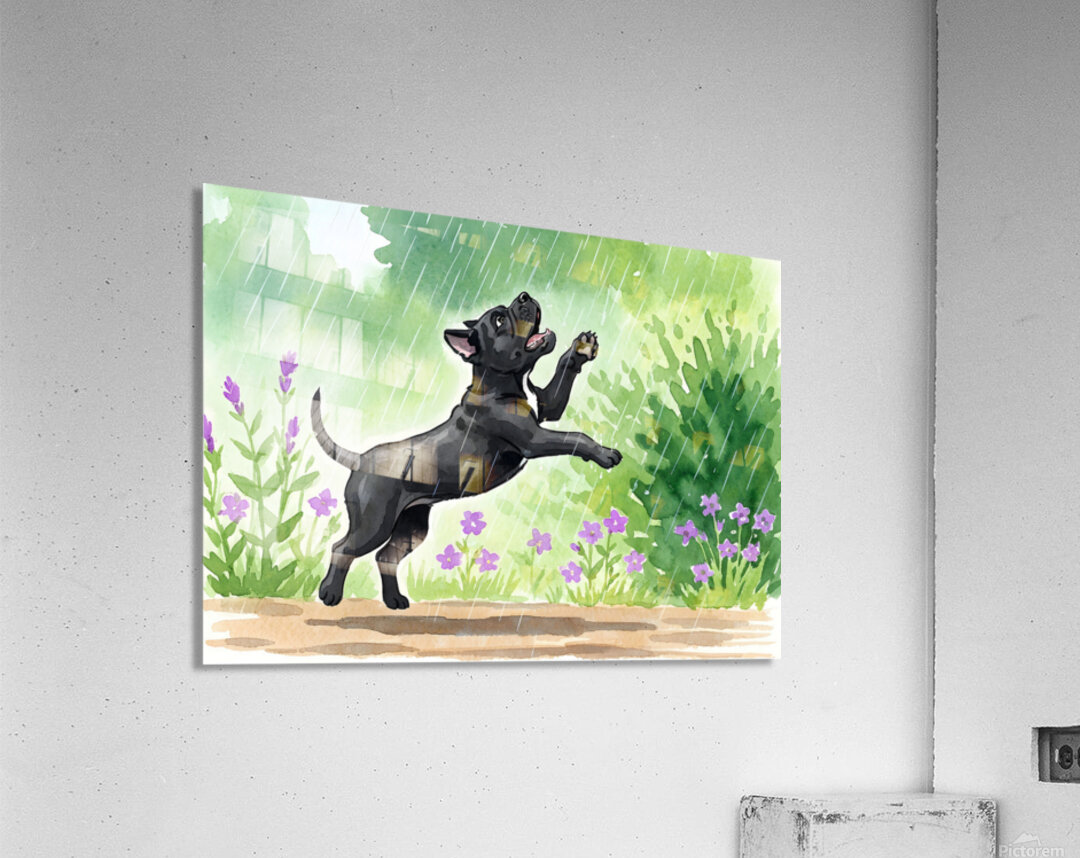 Cane Corso Puppy Discovers Rain In The Garden Acrylic Print