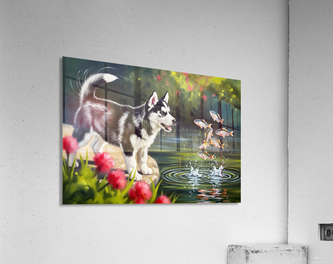 Happy Husky Puppy Enjoys Pond Watching Acrylic Print