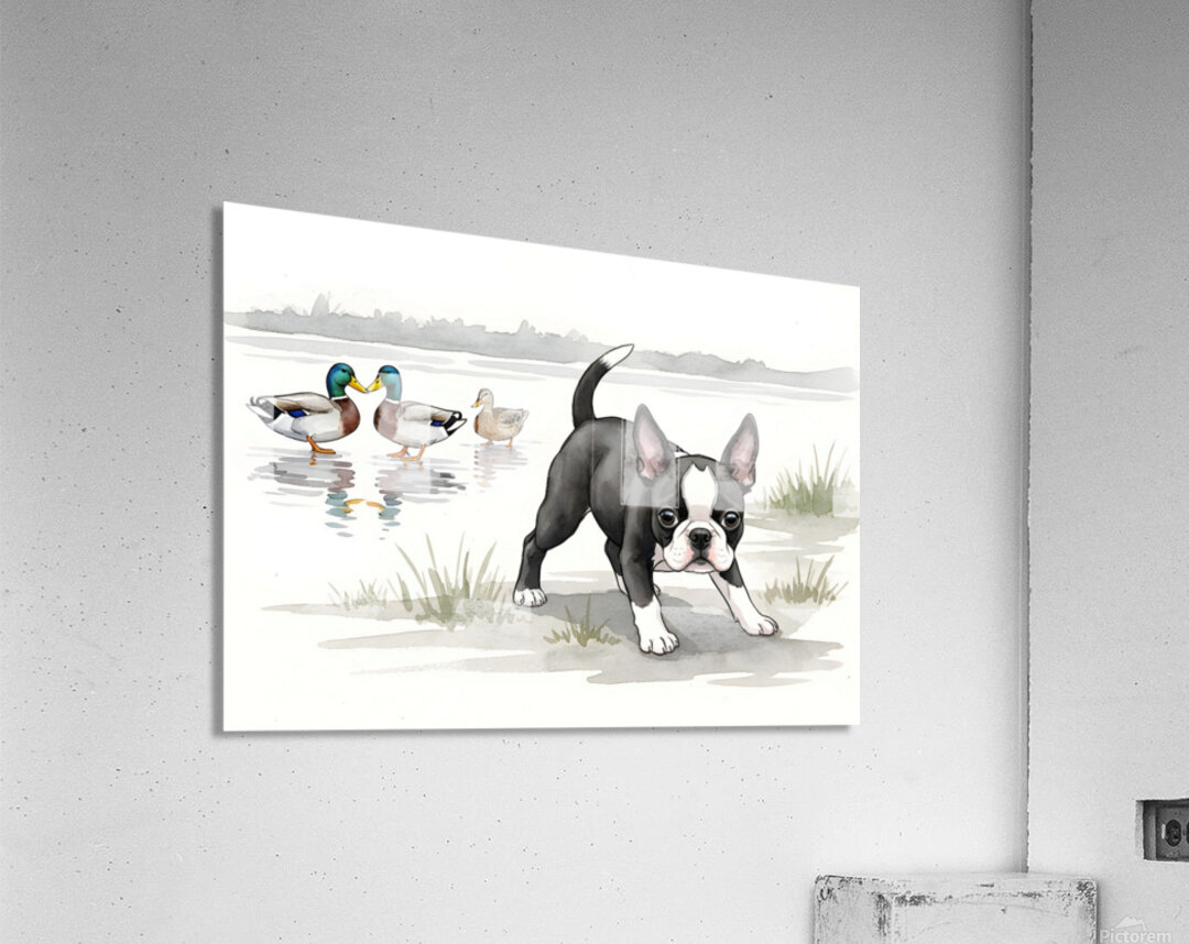 Puppy Watches His New Duck Friends Swimming Peacefully Acrylic Print