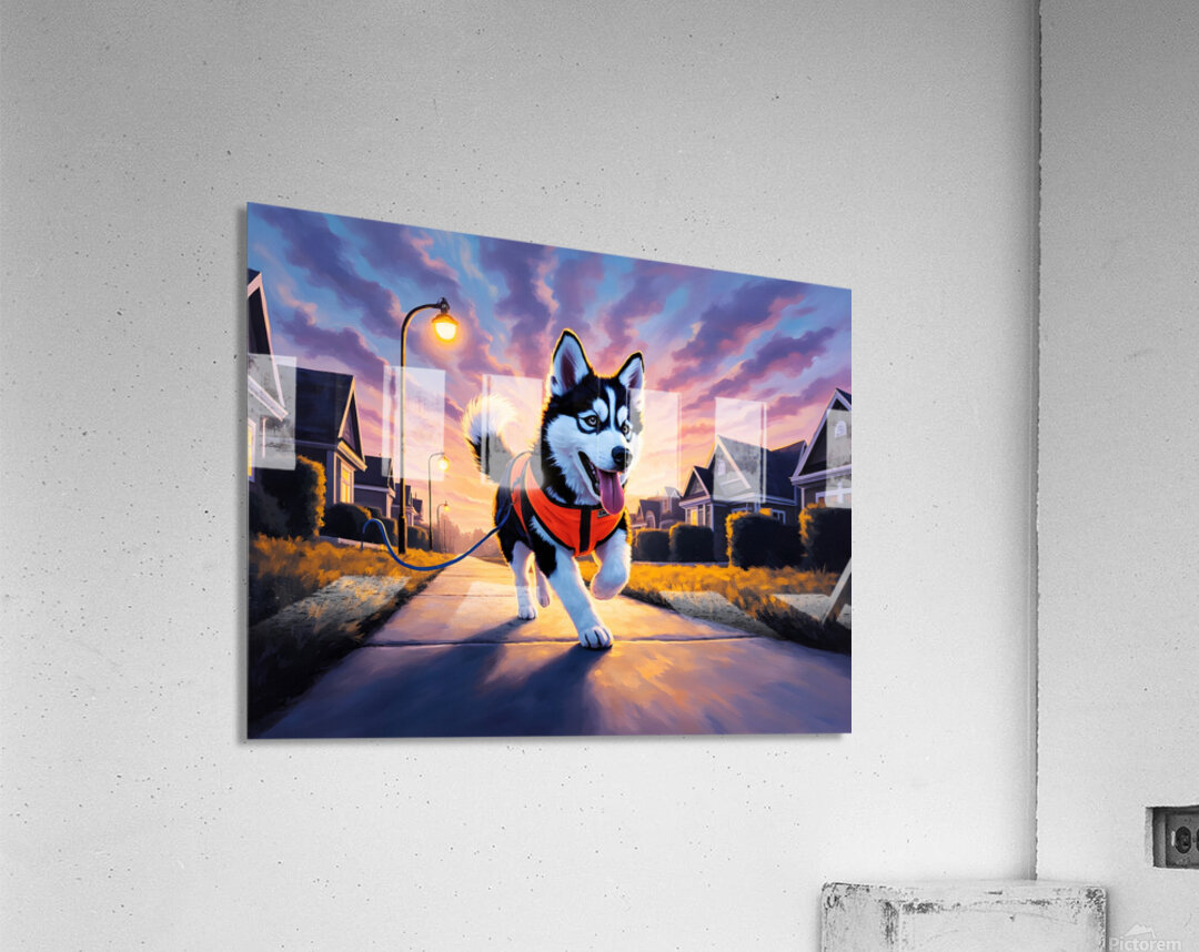 Husky Puppy Ready For Evening Adventure Acrylic Print