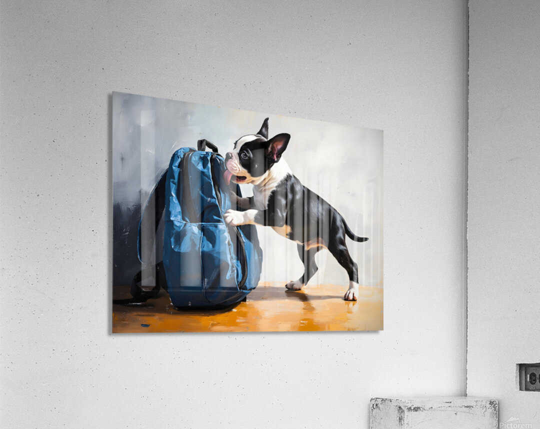 Boston Terrier Puppy Eyes The Backpack Challenge Acrylic Print