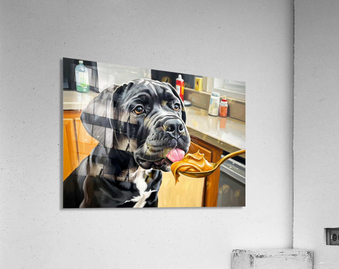 Curious Cane Corso Puppy Discovers New Treat Acrylic Print