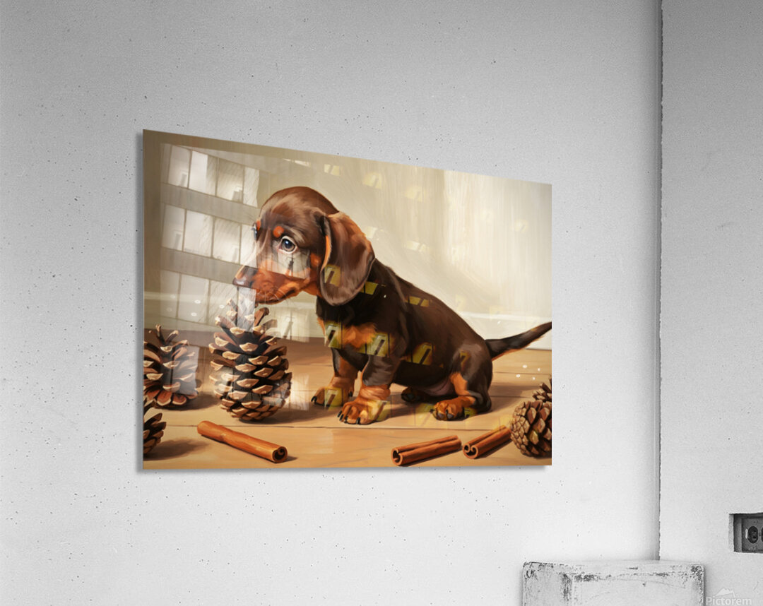 Happy Dachshund Puppy Relaxing With Natural Treasures Acrylic Print