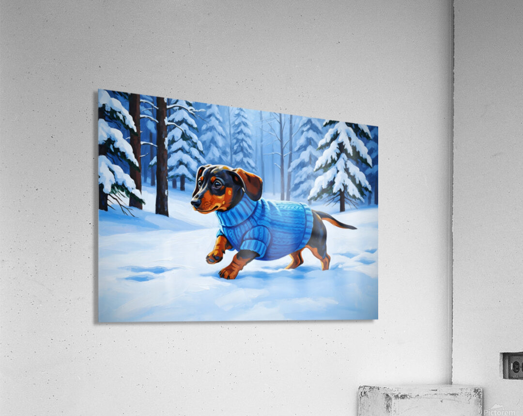 Dachshund Puppy Discovers Winter Snow In Red Sweater Acrylic Print