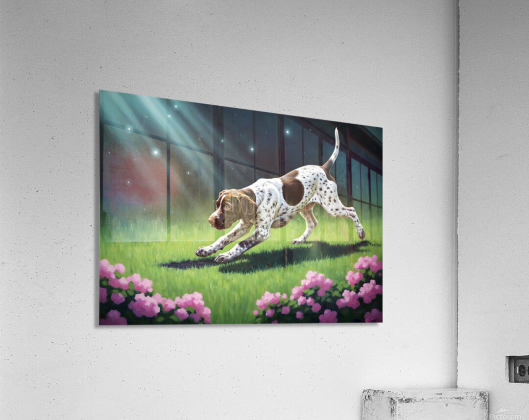 German Shorthaired Pointer Puppy Discovers Night Shadows Acrylic Print