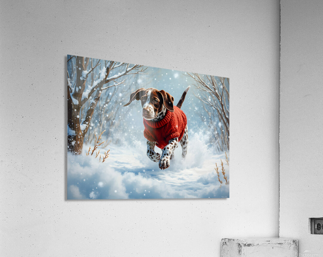Sleepy Puppy Rests After Snow Adventure In Sweater Acrylic Print