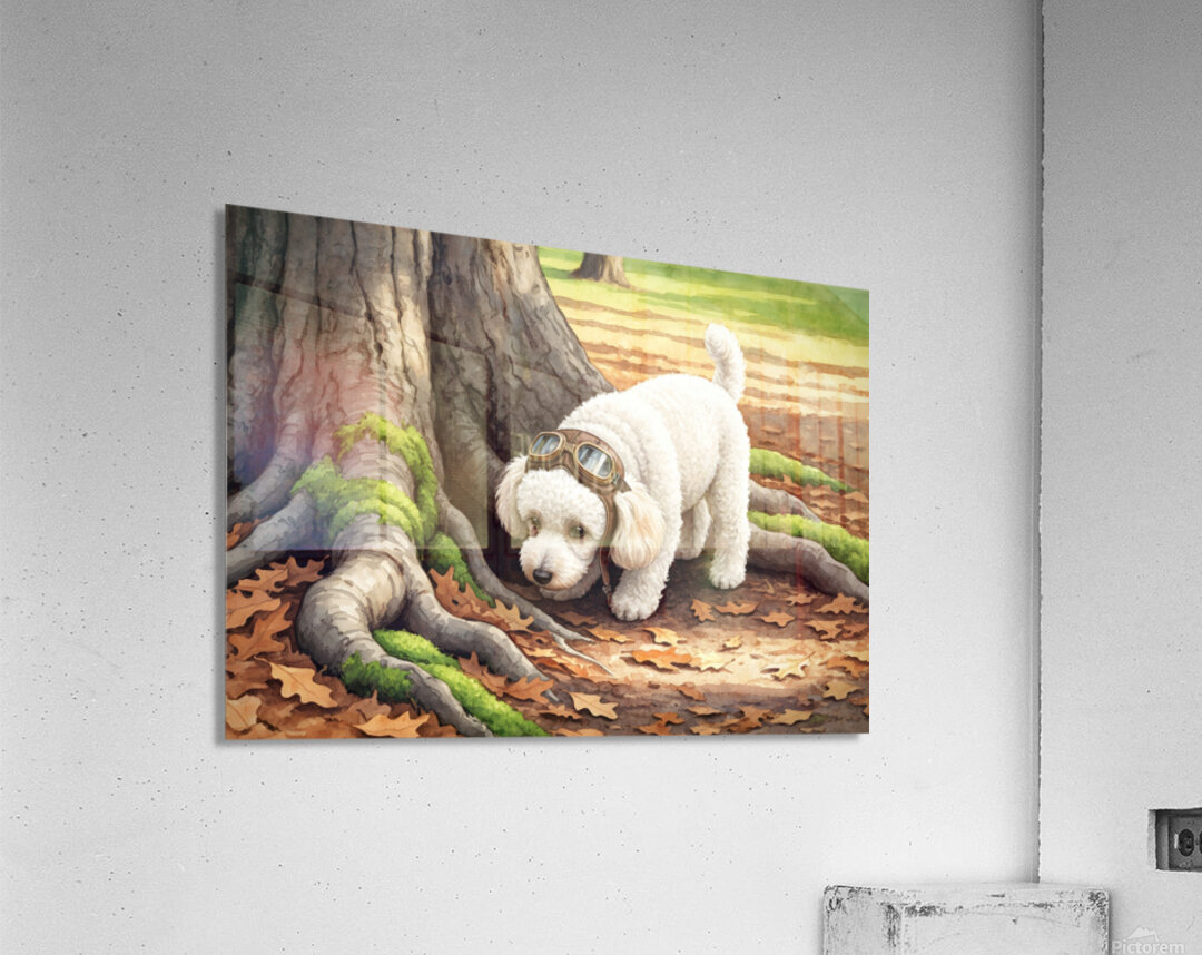 Poodle Puppy Ready For Garden Adventure Acrylic Print