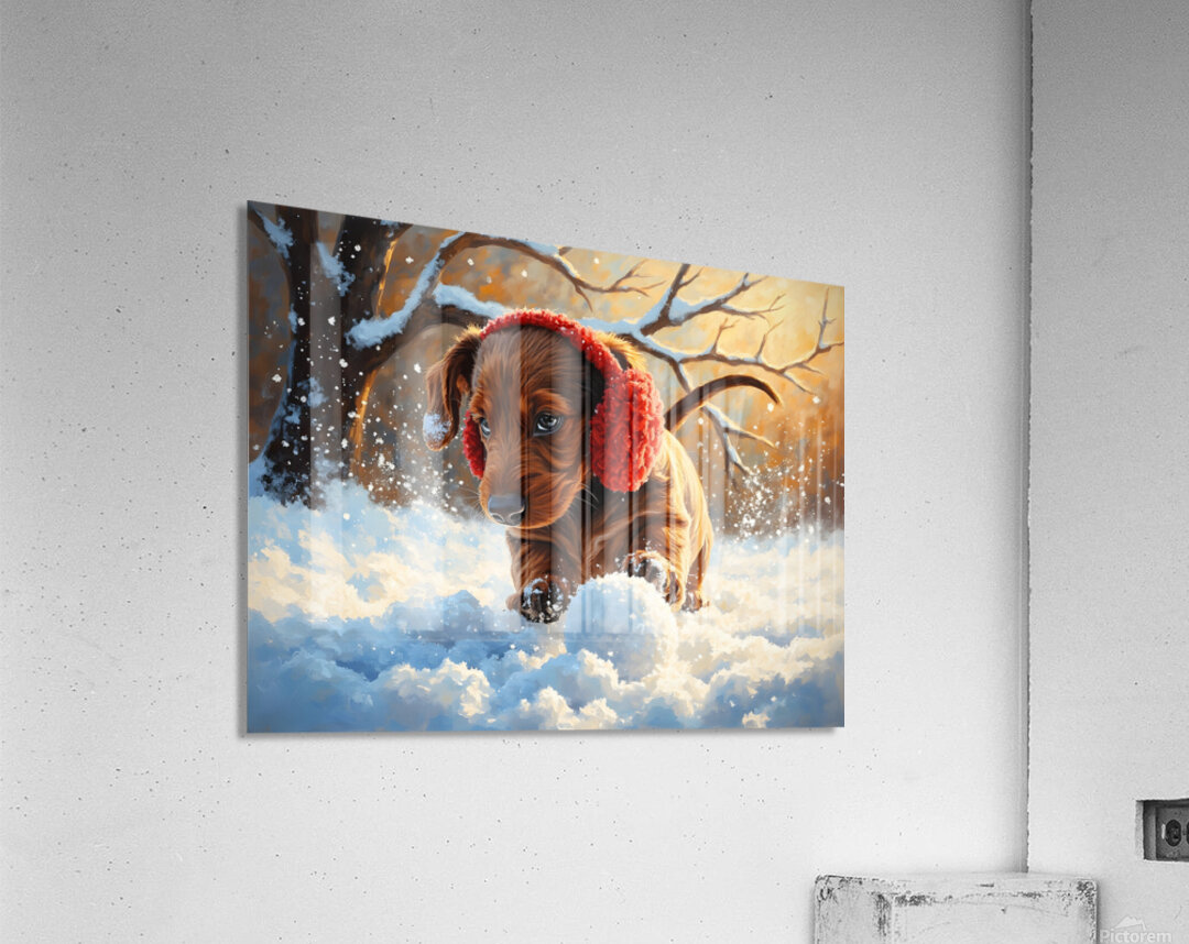 Dachshund Puppys First Snowy Adventure With Earmuffs Acrylic Print