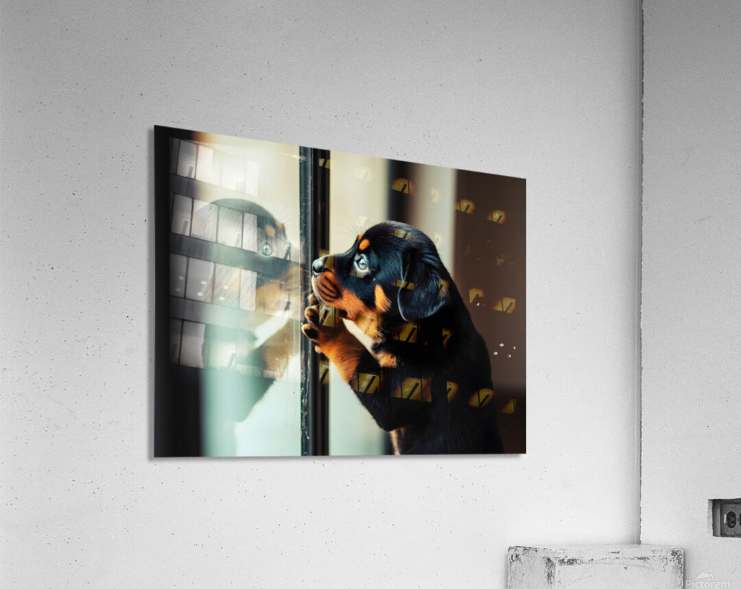 Thoughtful Puppy Contemplates Mysterious Reflection Acrylic Print