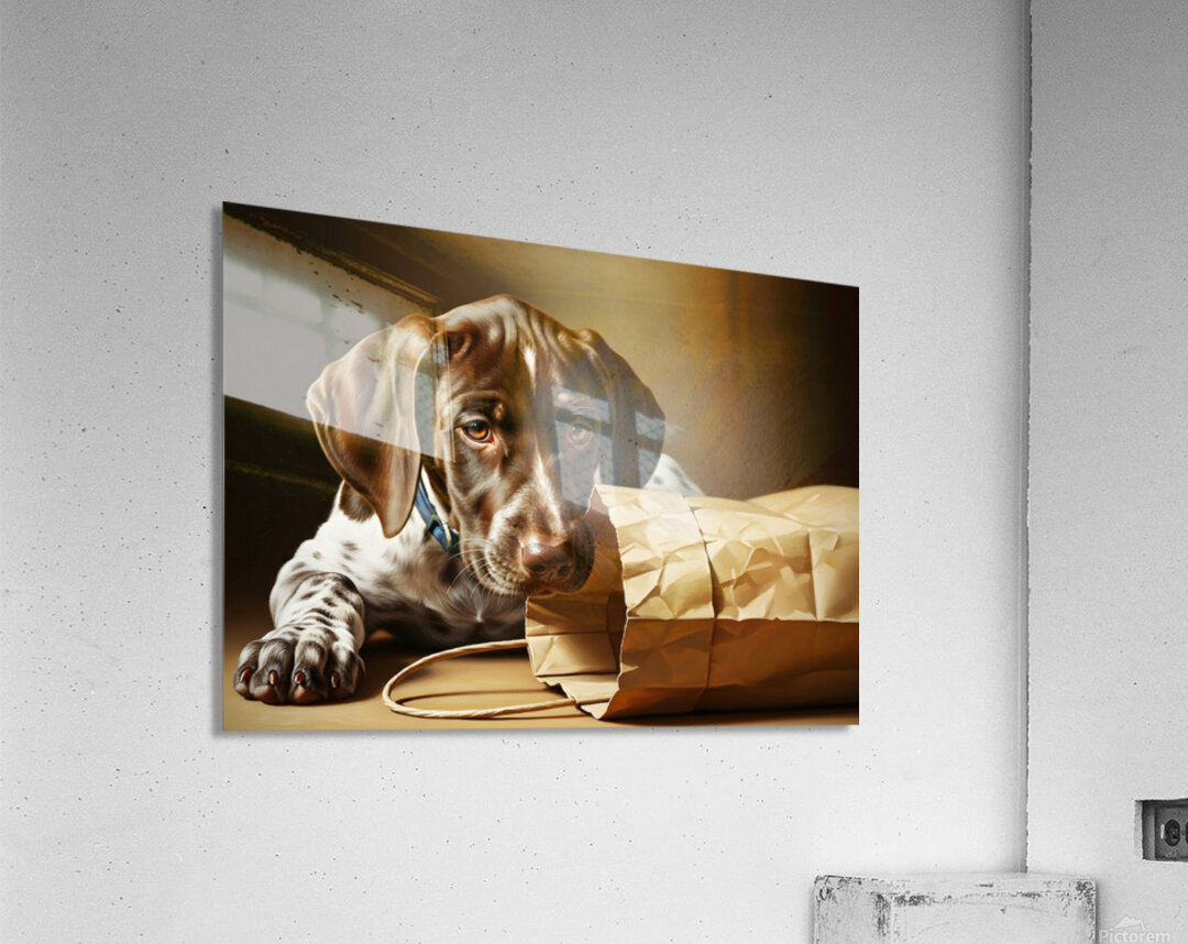 German Shorthaired Pointer Puppy Discovers Shopping Bag Acrylic Print