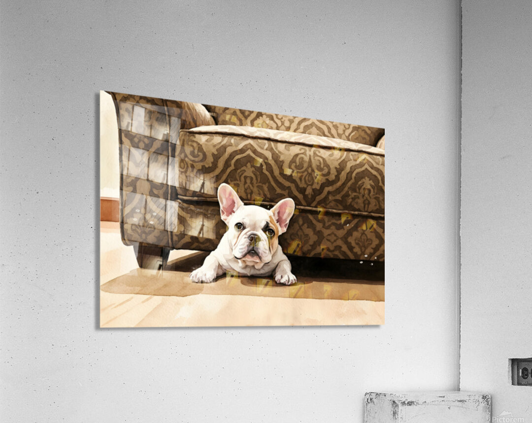French Bulldog Puppy Finds Perfect Hiding Spot Acrylic Print