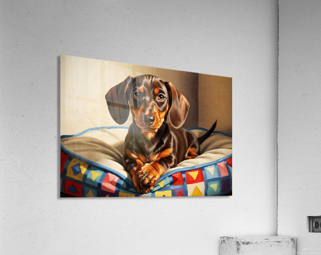 Dachshund Puppy Content On Cozy Dog Bed Acrylic Print