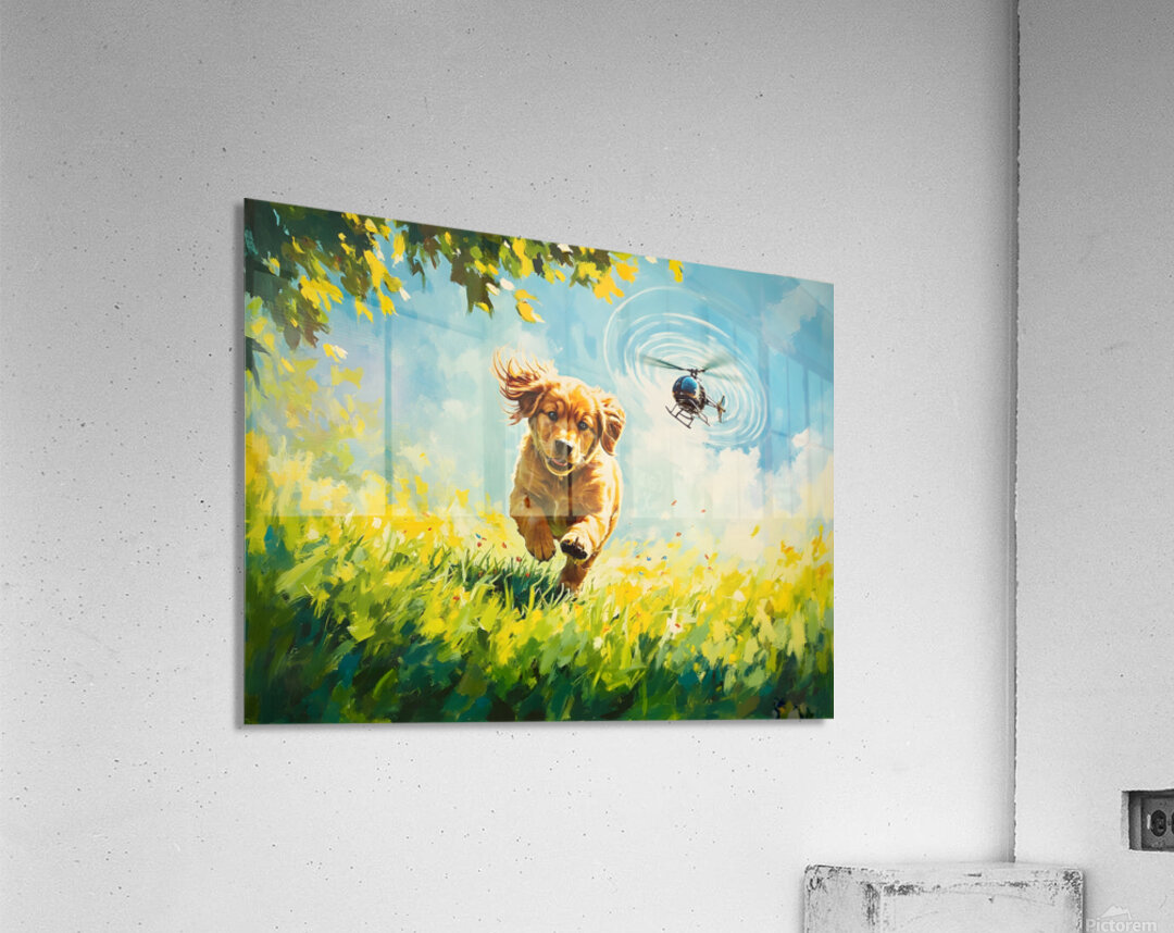 Exhausted Golden Puppy Rests After Helicopter Play Acrylic Print