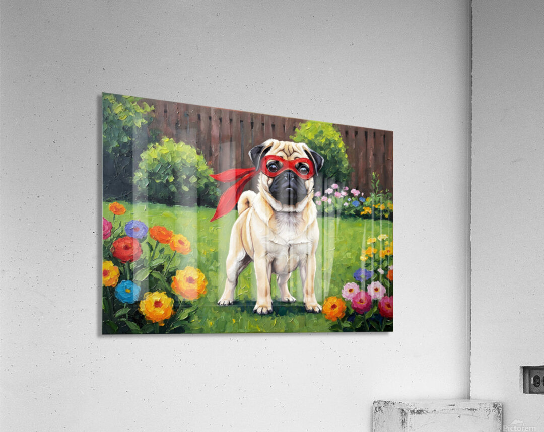 Pug Puppy Discovers His Superhero Mask Acrylic Print