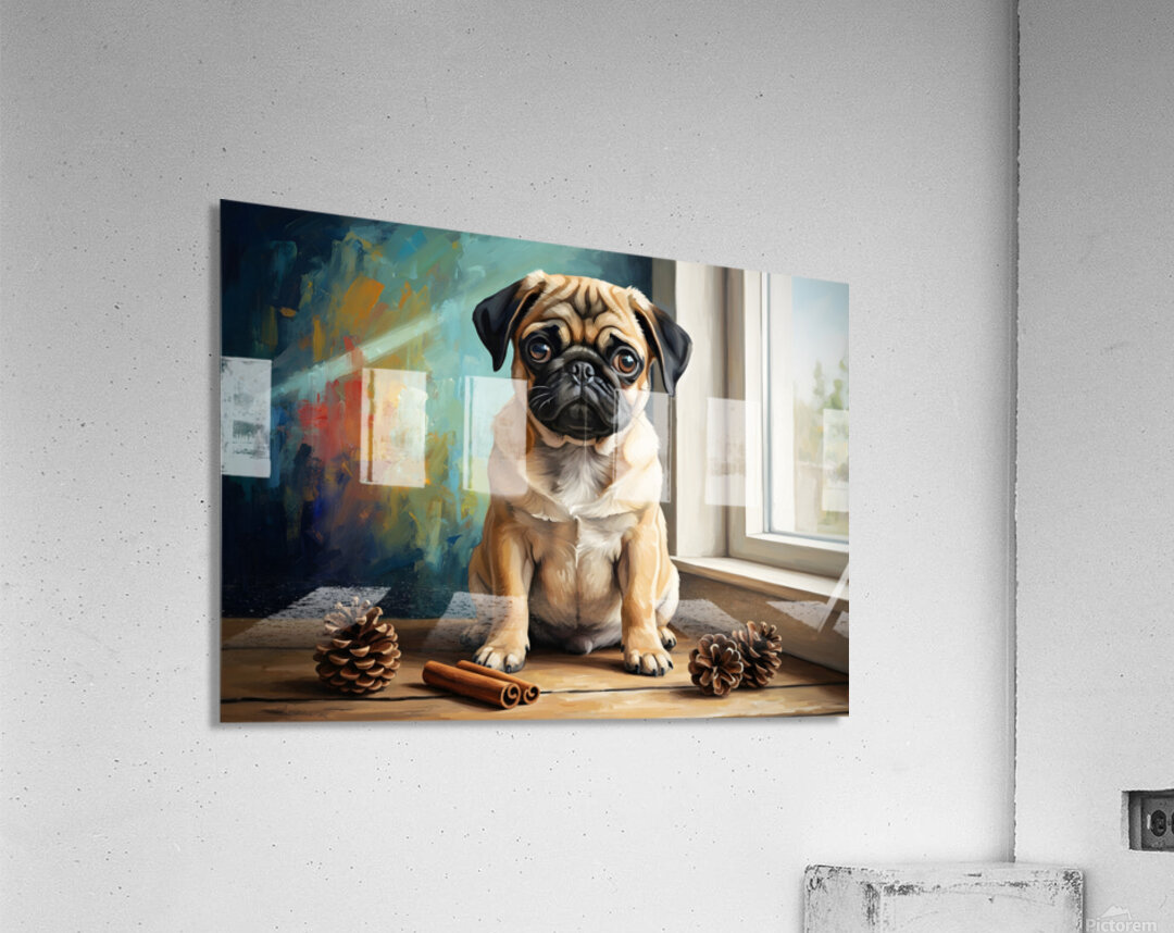 Contented Pug Puppy Enjoys Aromatic Discovery Acrylic Print