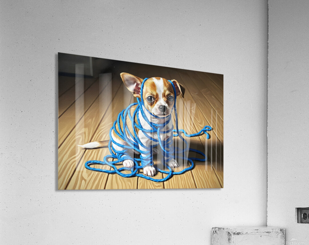 Guilty Chihuahua Puppy With Destroyed Yarn Acrylic Print