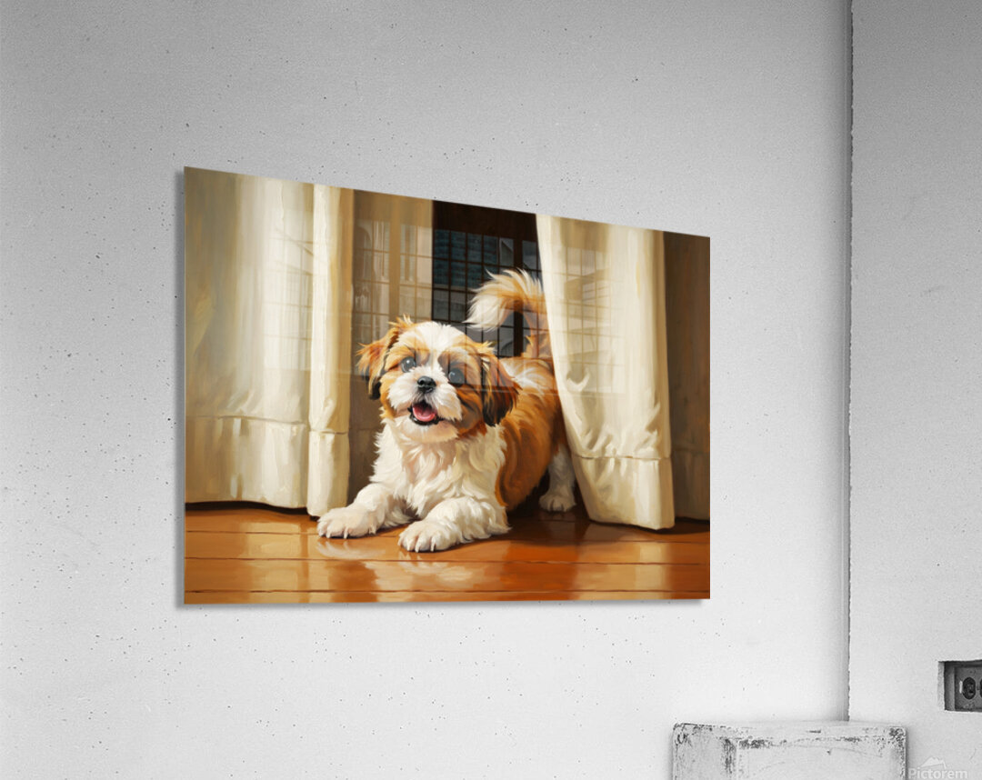 Happy Shih Tzu Puppy Ready To Play In Living Room Acrylic Print