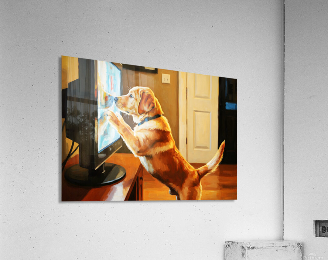 Labrador Puppy Discovers The Magic Television Screen Acrylic Print