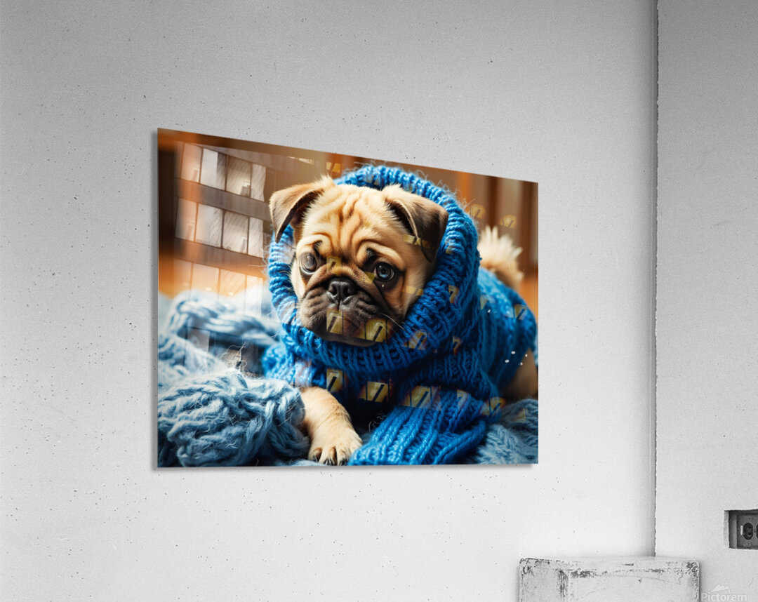 Pug Puppys Sleeve Adventure Begins Acrylic Print