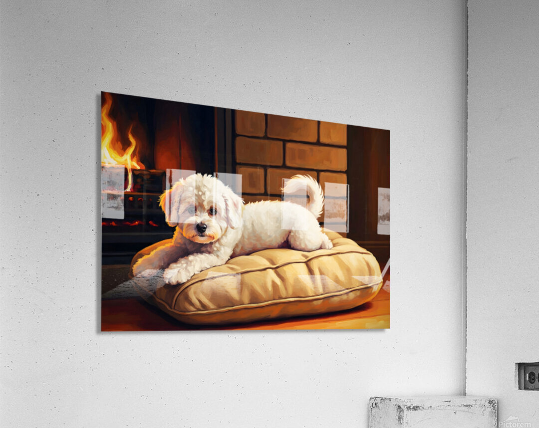Bichon Frise Puppy Finds Perfect Fireplace Spot Acrylic Print