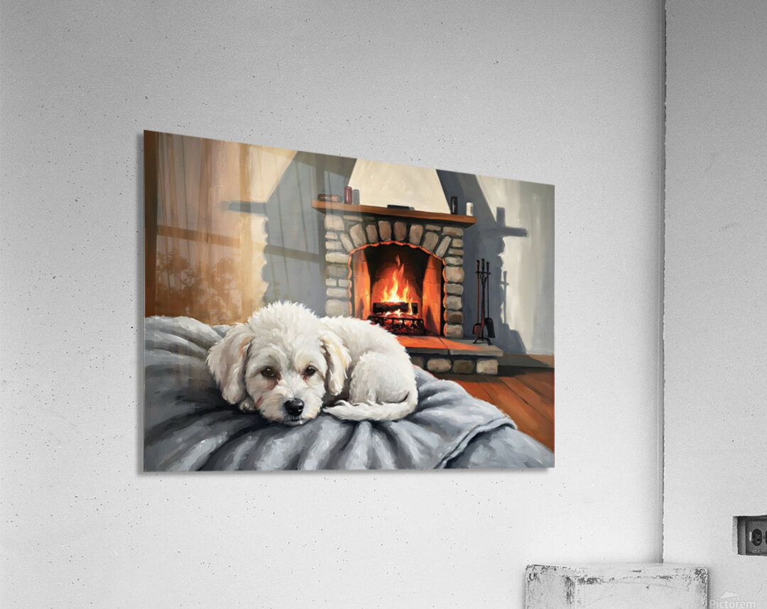Bichon Frise Puppy Dreams By The Fireplace Acrylic Print