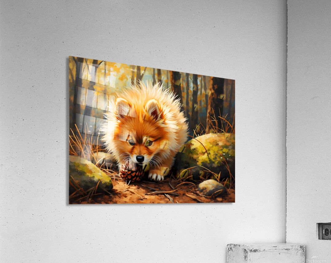 Pomeranian Puppy Discovers Pinecone In Forest Acrylic Print
