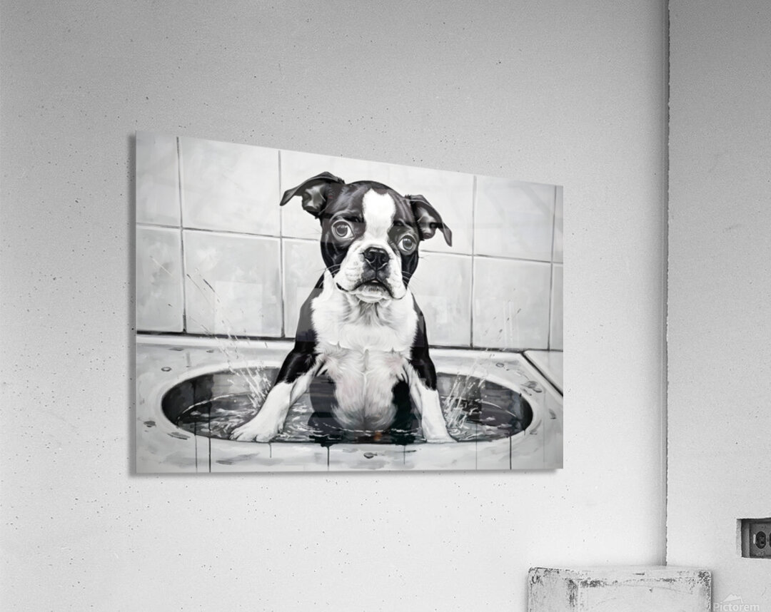 Happy Boston Terrier Puppy Enjoys Sudsy Bath Time Acrylic Print