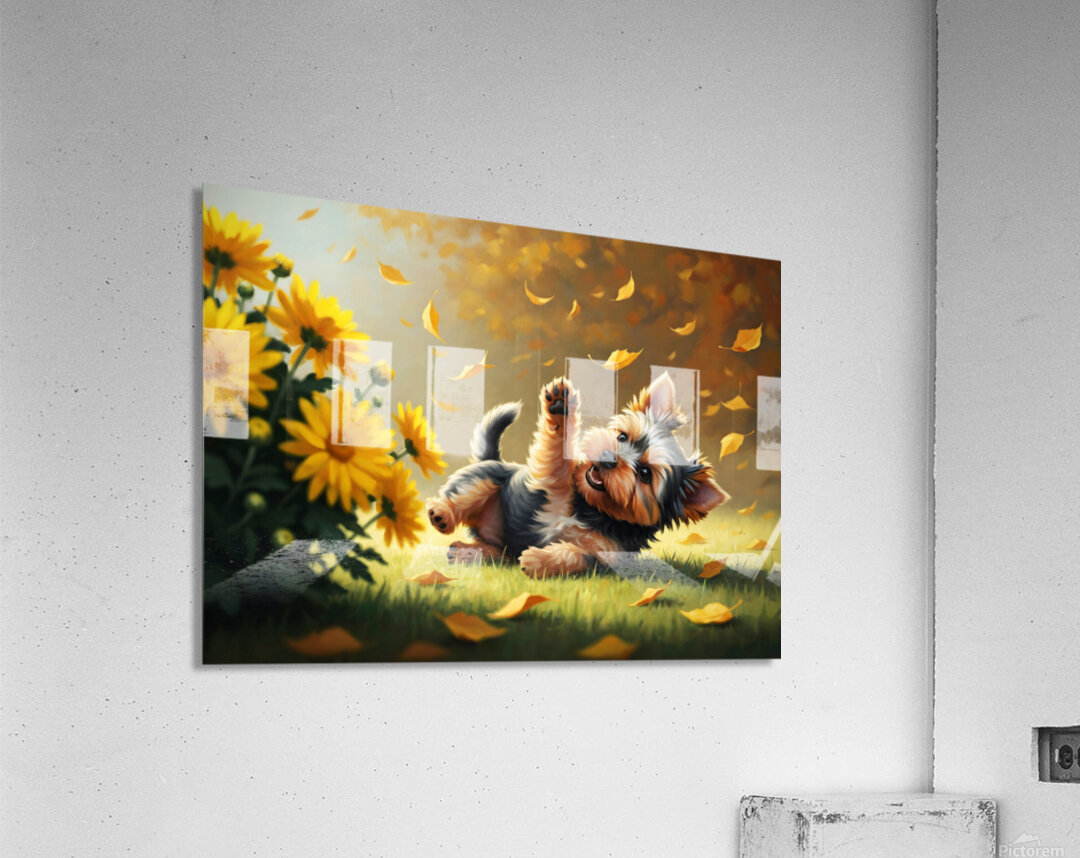 Yorkshire Terrier Puppy Successfully Catches Brown Oak Leaf Acrylic Print