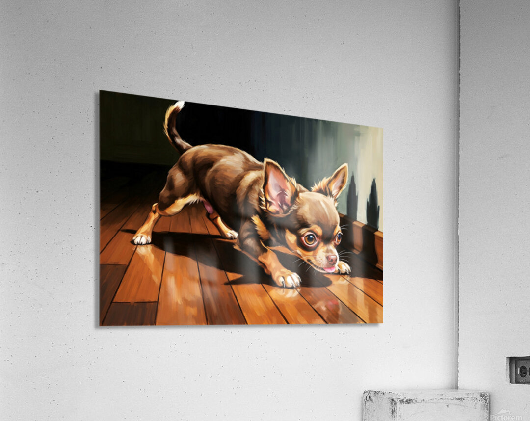 Chihuahua Puppy Discovers Dancing Wall Shadows Acrylic Print