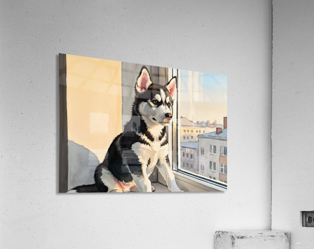 Sleepy Husky Puppy Naps On Cozy Windowsill Acrylic Print