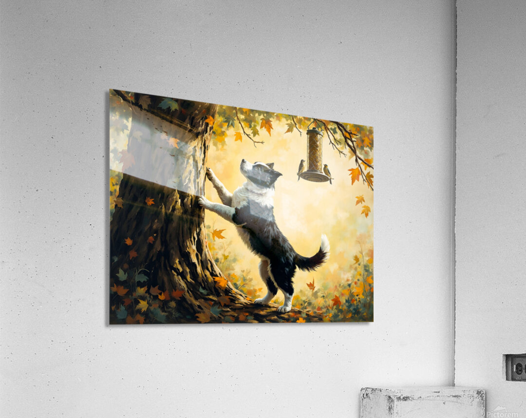 Border Collie Puppy Dreams Of Bird Feeder Adventure   Acrylic Print