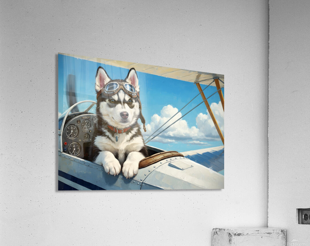 Husky Puppy Dreams Of Sky Adventures Acrylic Print
