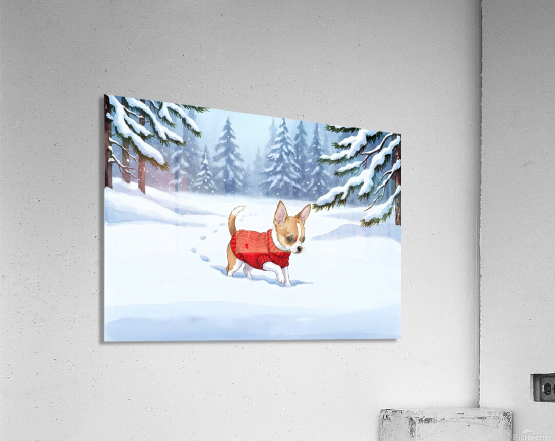 Chihuahua Puppys First Winter Day In Red Sweater Acrylic Print