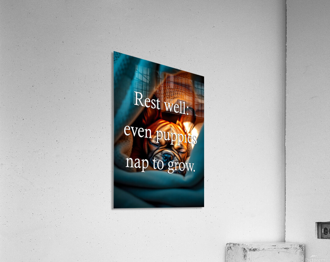 Rest Well Like This Sleepy Puppy Acrylic Print