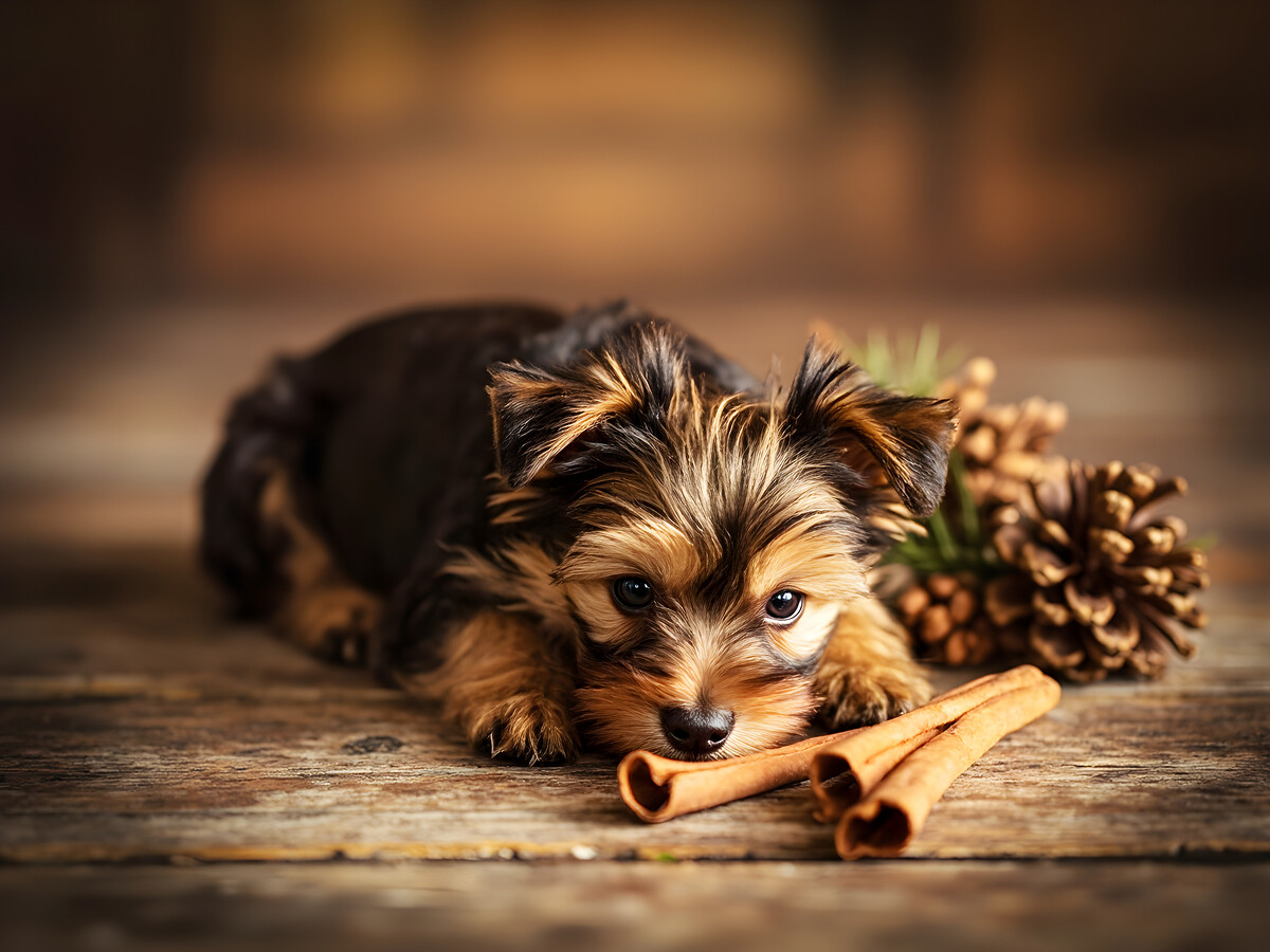 Impression de cadre personnalisé