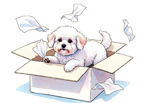 Bichon Frise Puppy Discovers Tissue Box Adventure