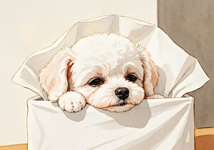 Brave Bichon Frise Puppy Escapes From Tissue Box