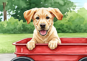 Puppys First Wagon Ride Adventure
